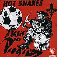 Hot Snakes : Audit in Progress